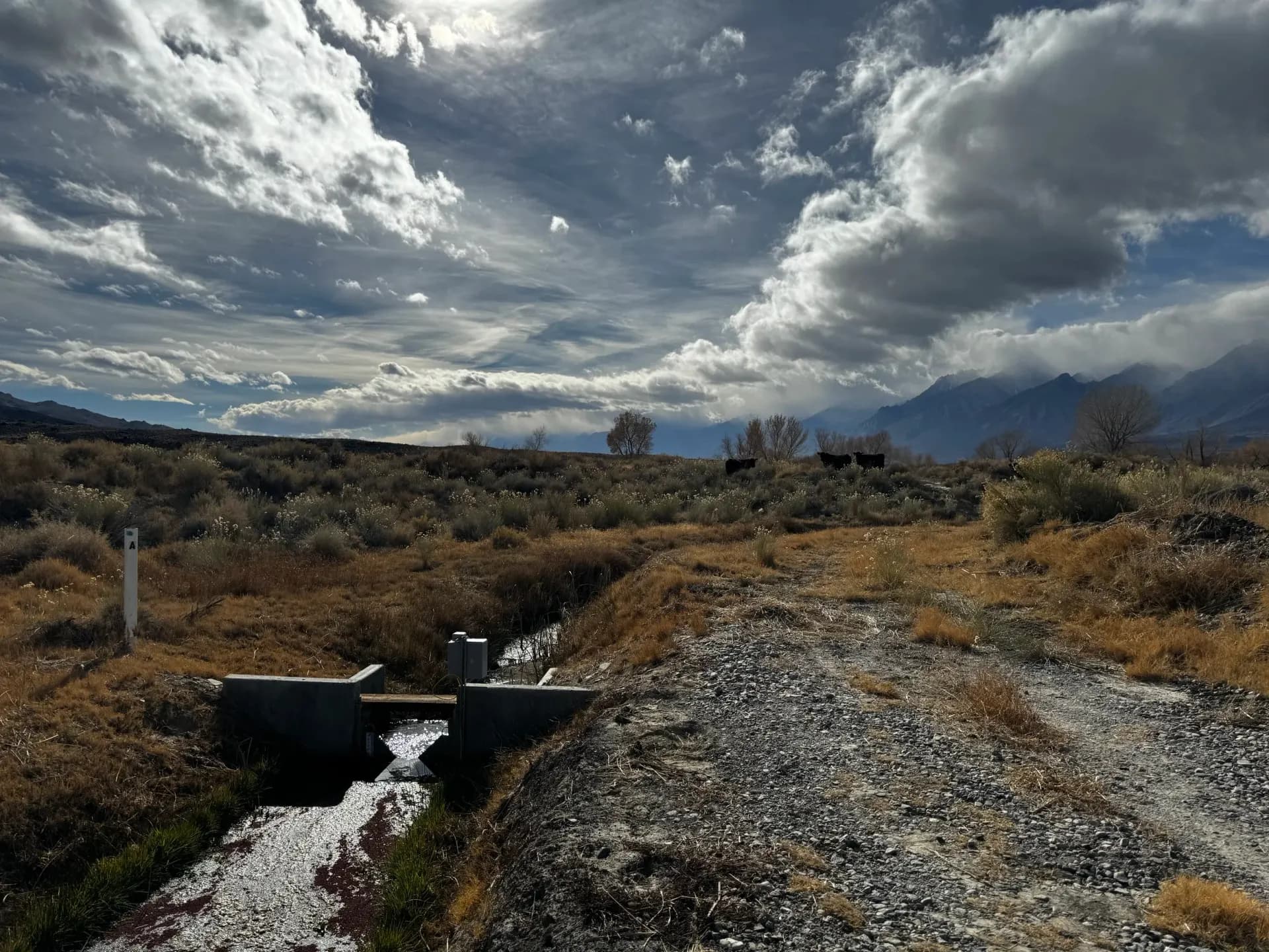 Seepage weir in a channel below an embankment dam